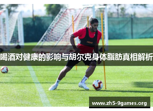 喝酒对健康的影响与胡尔克身体脂肪真相解析