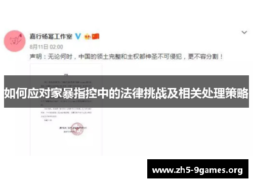 如何应对家暴指控中的法律挑战及相关处理策略