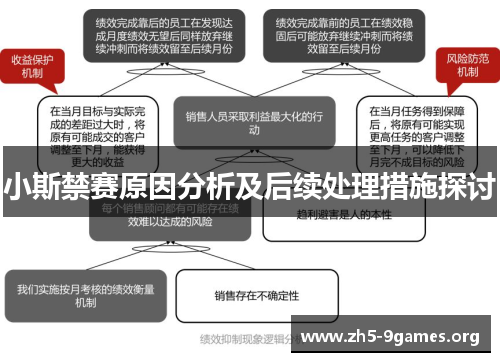 小斯禁赛原因分析及后续处理措施探讨